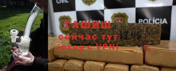 шишки Горнозаводск