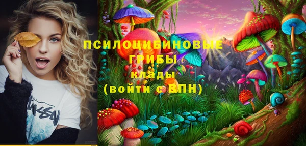 шишки Горнозаводск