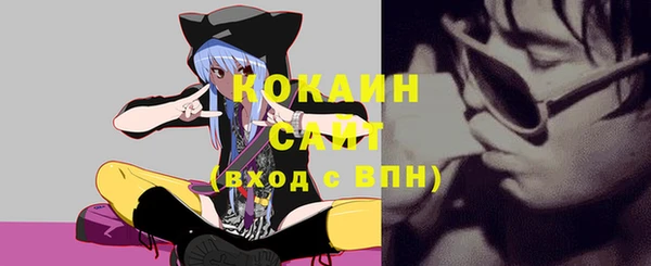 гидра Горно-Алтайск