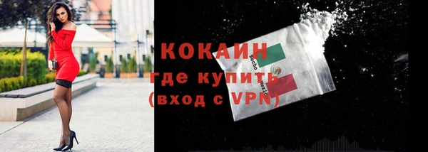 шишки Горнозаводск