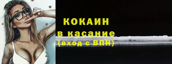 шишки Горнозаводск