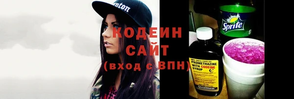не бодяженный Гусев