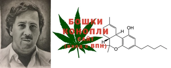 шишки Горнозаводск