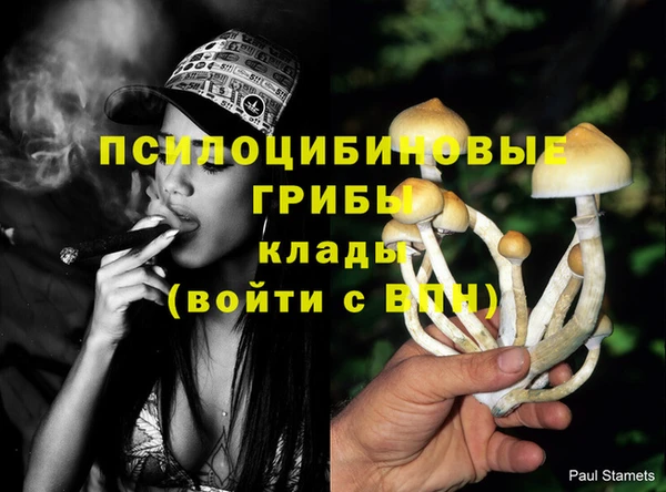 шишки Горнозаводск