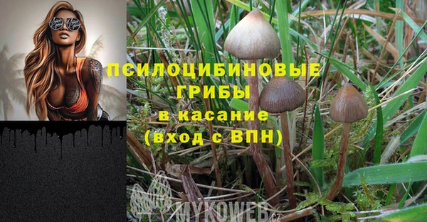 мдма Горняк