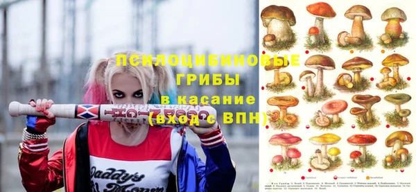 шишки Горнозаводск