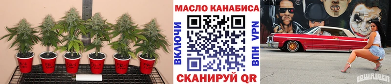 ТГК вейп  цена   Певек 